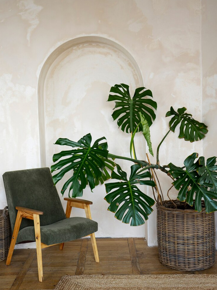 Artificial Plants for Interior Design-02.jpg